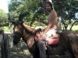 A caballo por el Pantanal