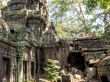 Ruinas y selva, Angkor