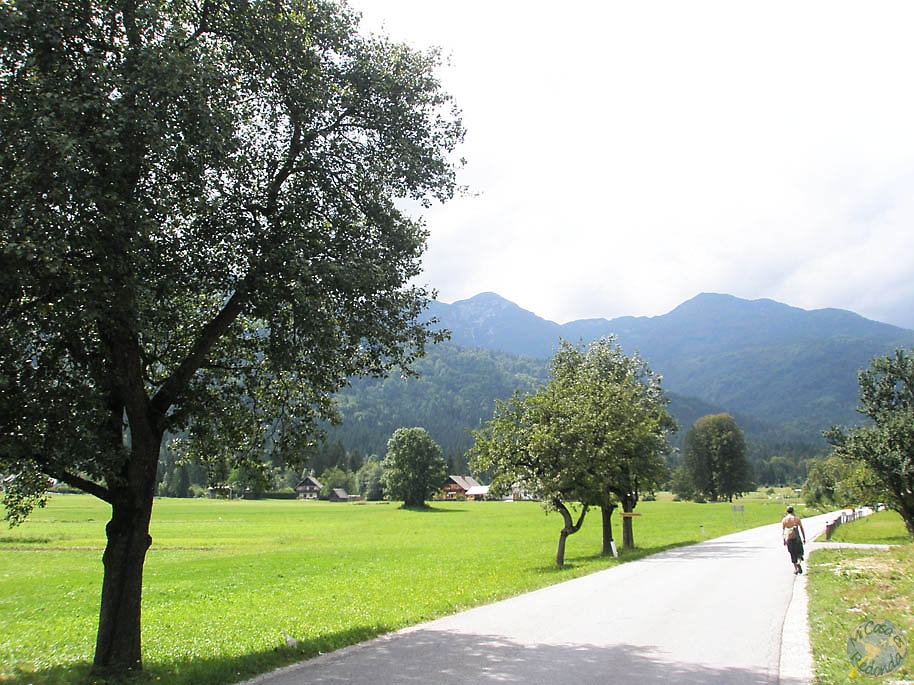 Verdes paisajes entre Bled y Bohinj