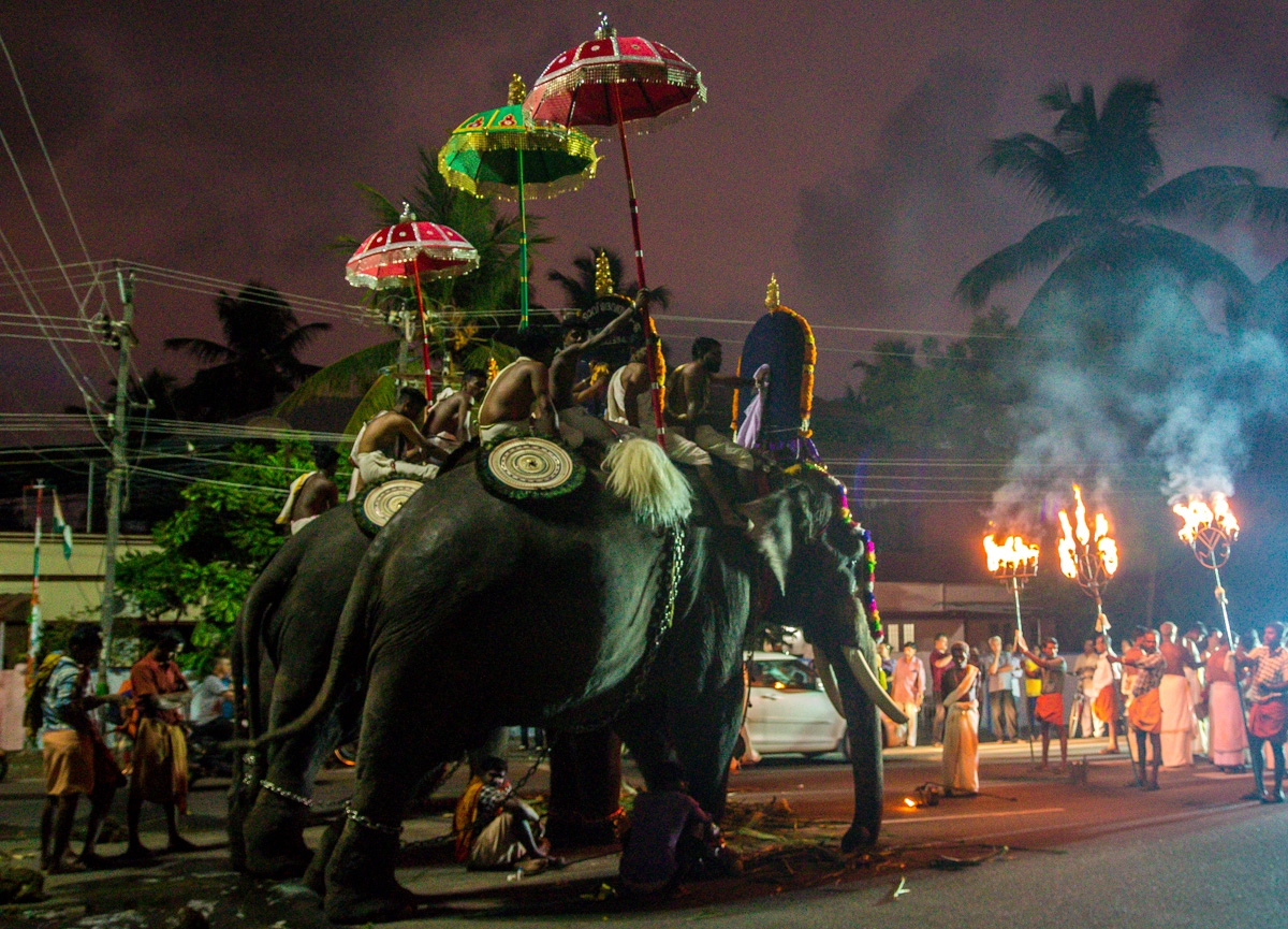 Celebración con megaelefantes en las calles de Kochi