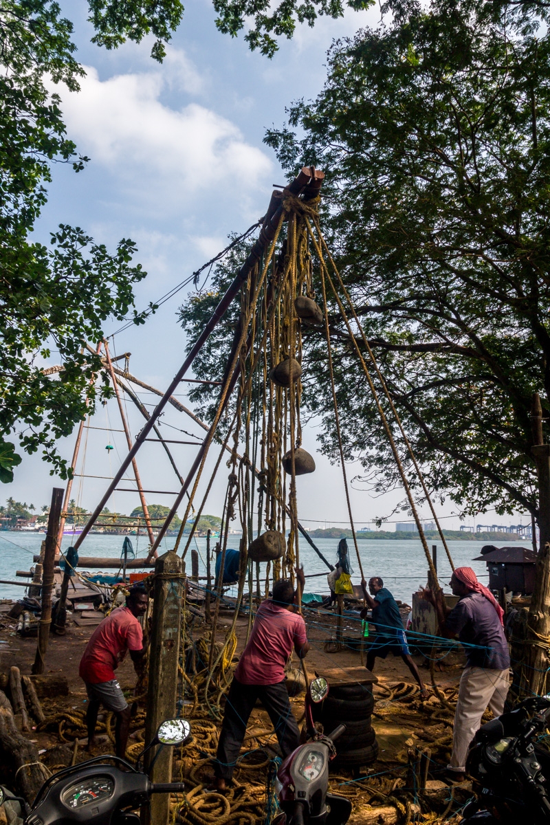 Levantando las redes de pesca chinas, Fort Cochi