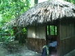 Nuestras cabañas en Palenque