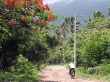 Caminos de Ometepe