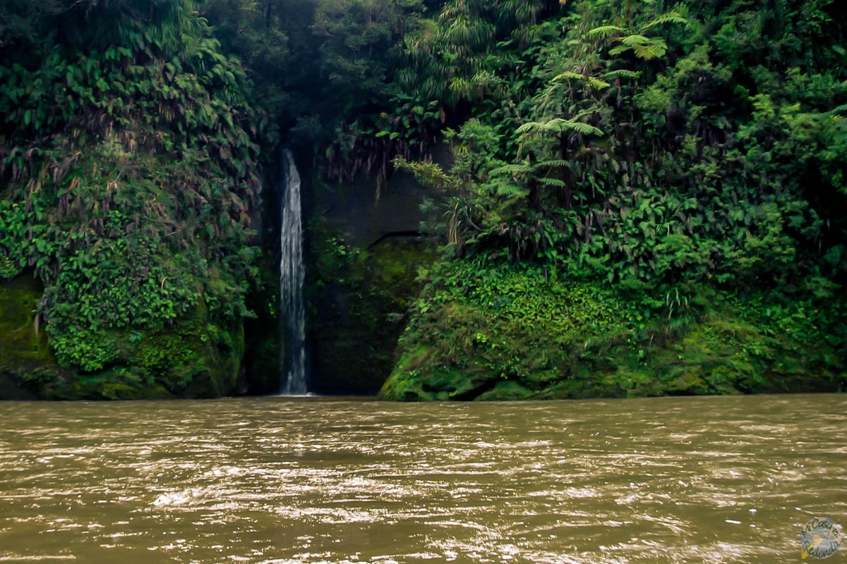 Docenas de cascadas entre el recorrido, Whanganui Journey