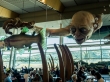 Gollum también come en el aeropuerto de Wellington