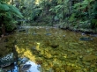 Ríos de agua transparente, Abel Tasman