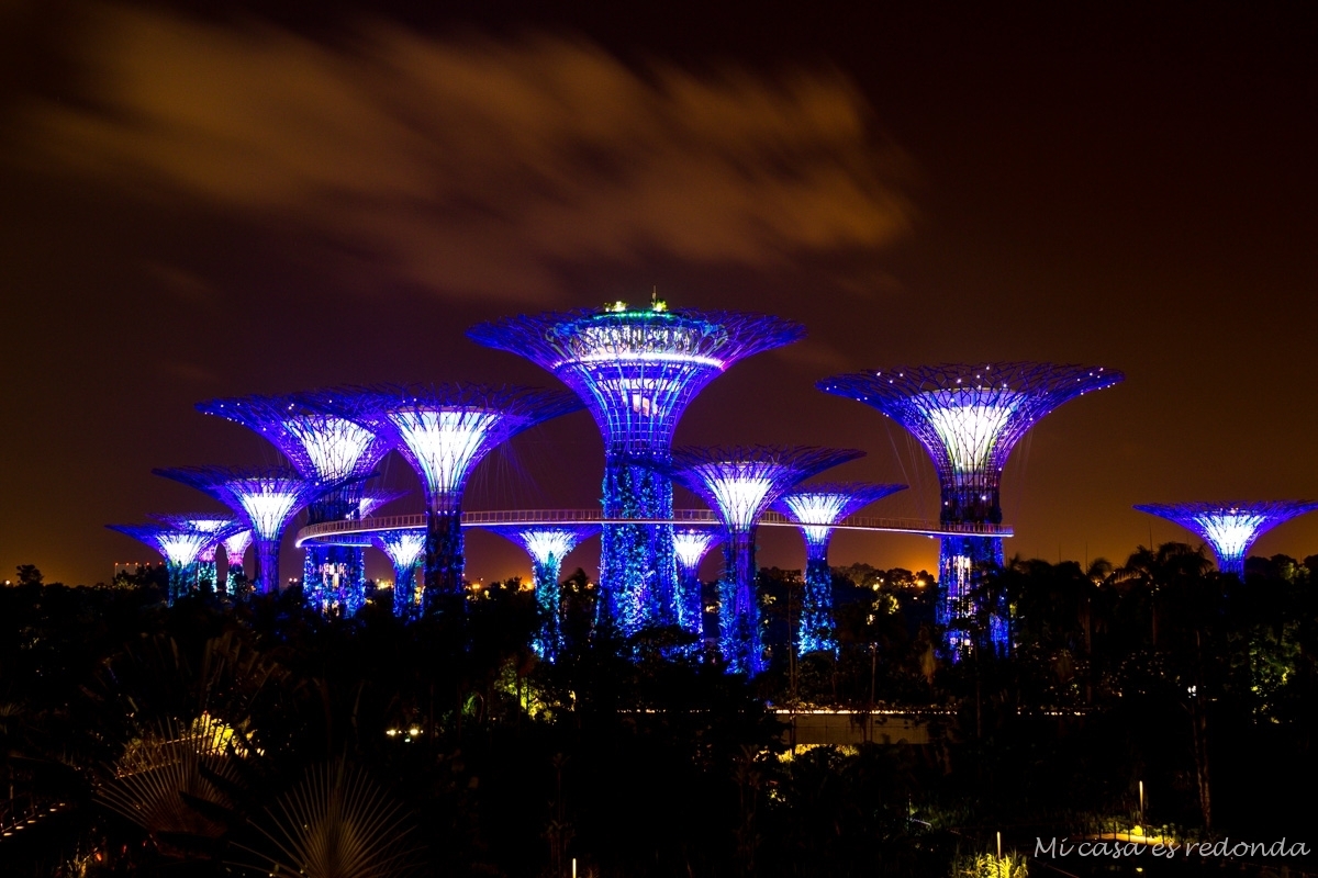 Gardens by the Bay by night