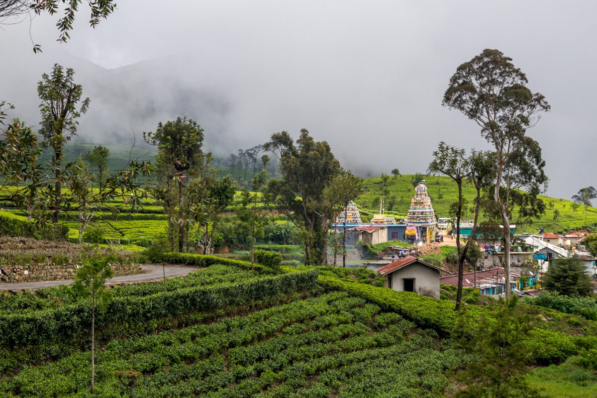 Entre templos y té, Haputale