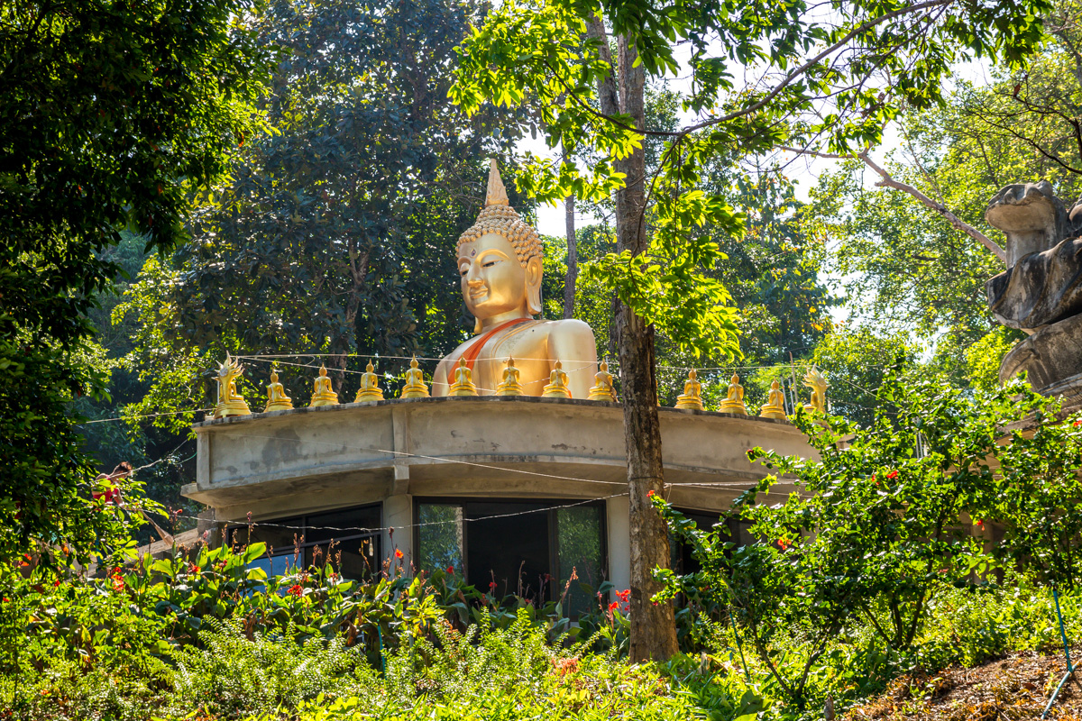 Buda en Koh Phayam
