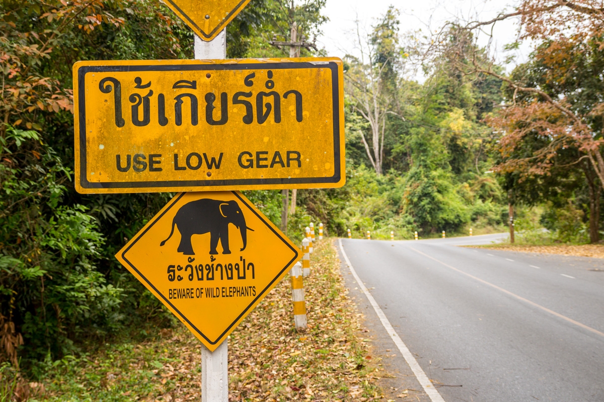 Los únicos elefantes que vimos fueron los de la señal, Khao Yai