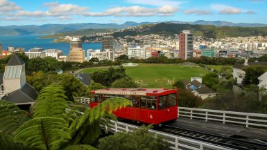 Wellington y el Cable Car desde el Botanic Garden