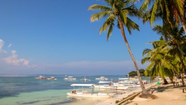 Filipinas II: Panglao y Malapascua