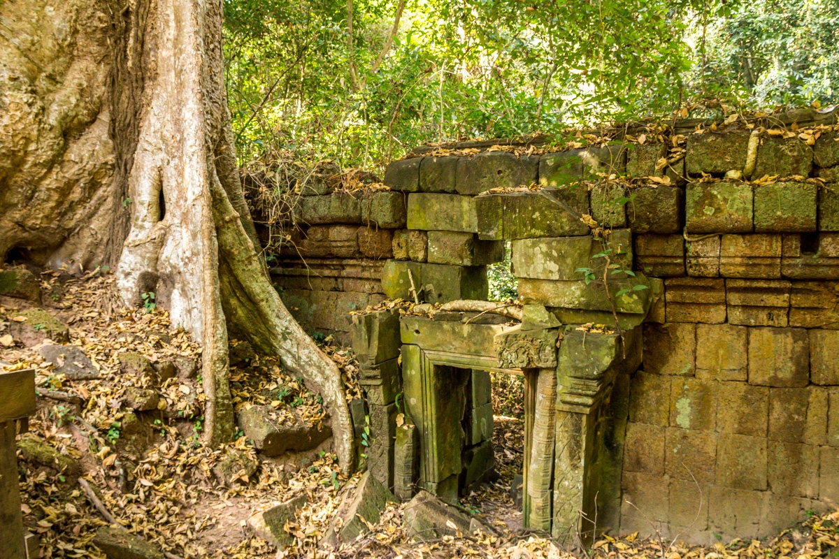 Vegetación mimetizada con las ruinas, Angkor