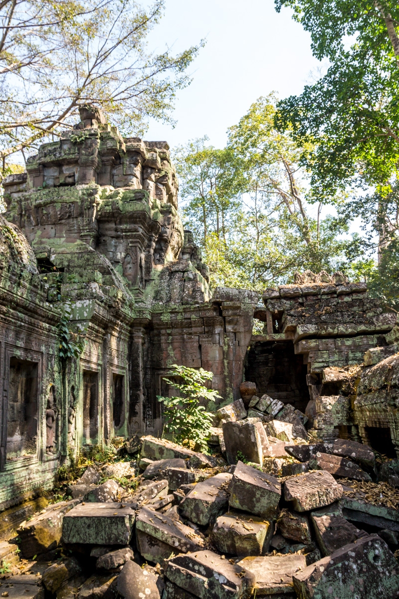 Ruinas y selva, Angkor