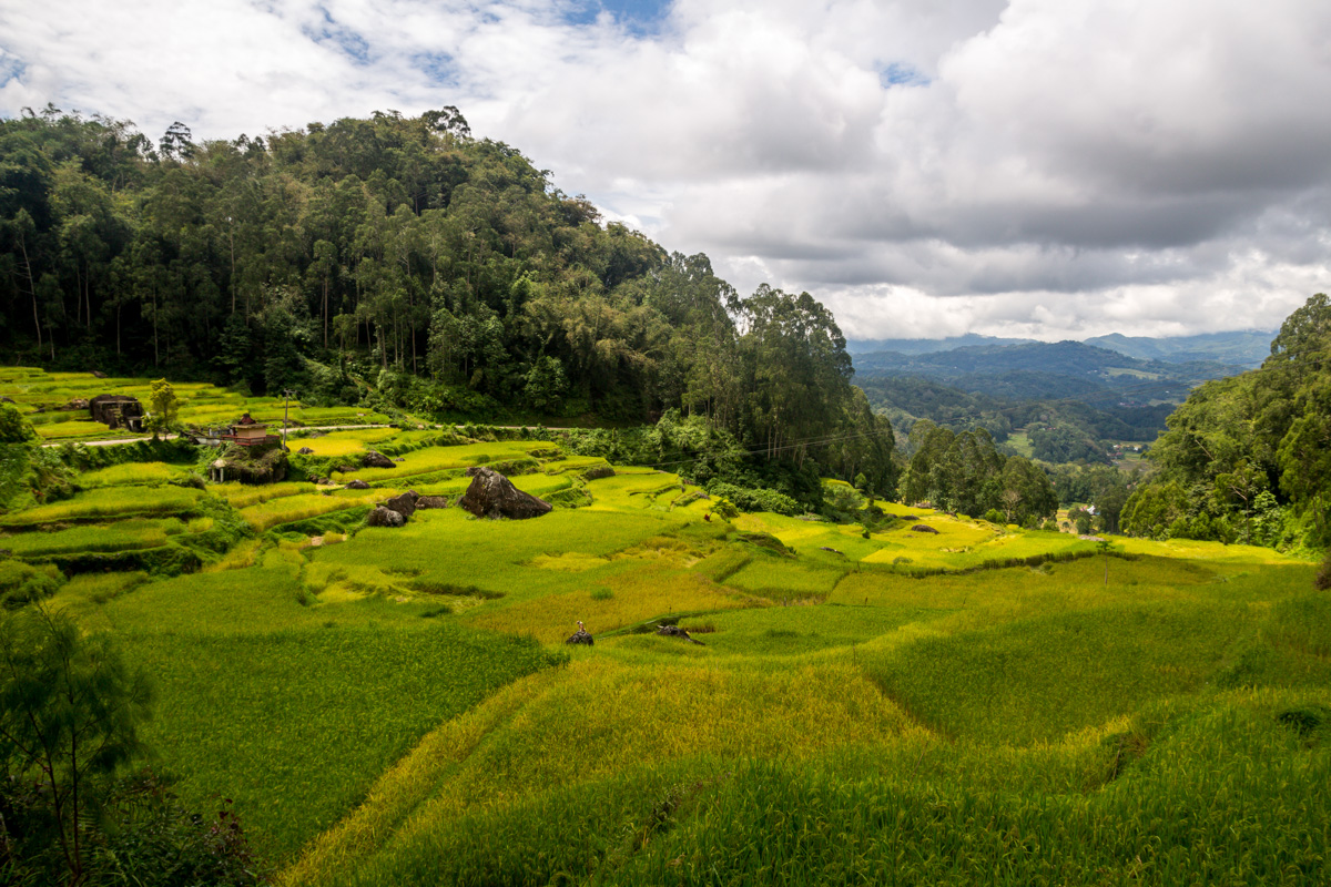 Las vistas en las alturas de Tana Toraja