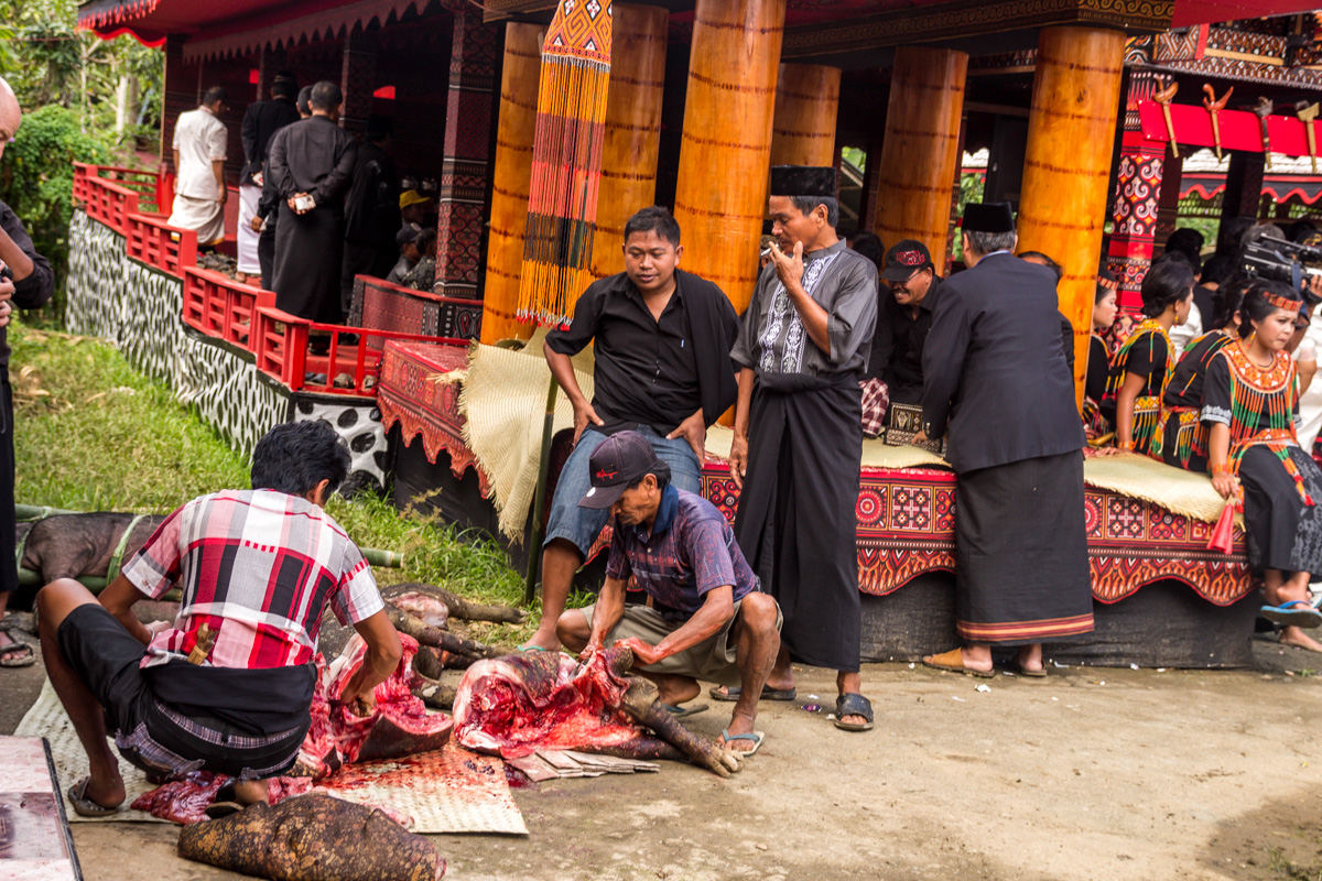 Despiece y repartición de cerdos, funeral Tana Toraja