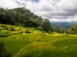 Las vistas en las alturas de Tana Toraja
