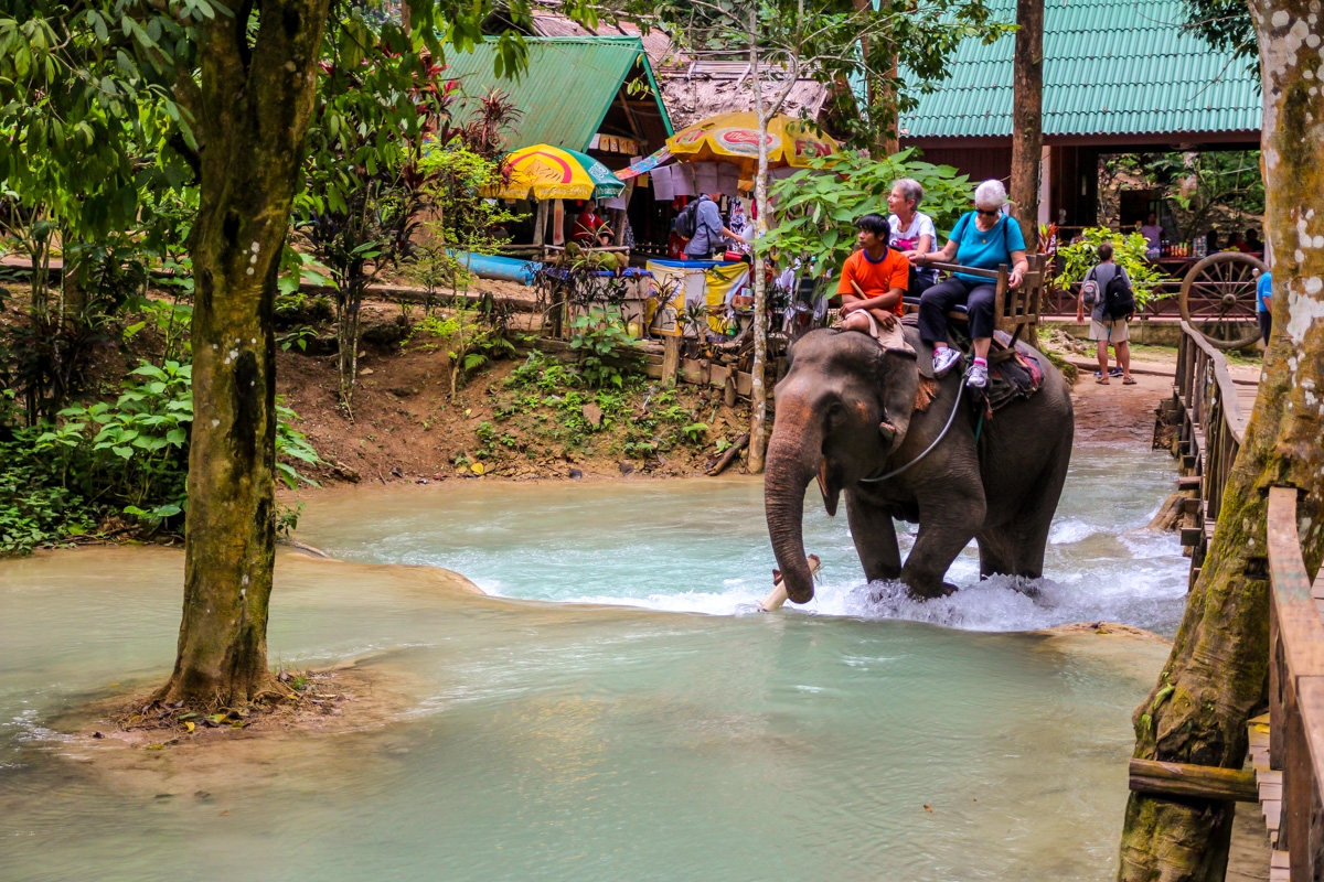 Y sí, tienen negocio de elefantes en Tad Se, Luang Prabang