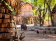 Casas y animales en el poblado de Sop Tood