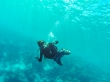 Bajo el mar de Maldivas!