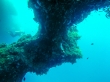 Formaciones submarinas. Maldivas