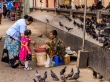 Comprando comida para las palomas, Yangon
