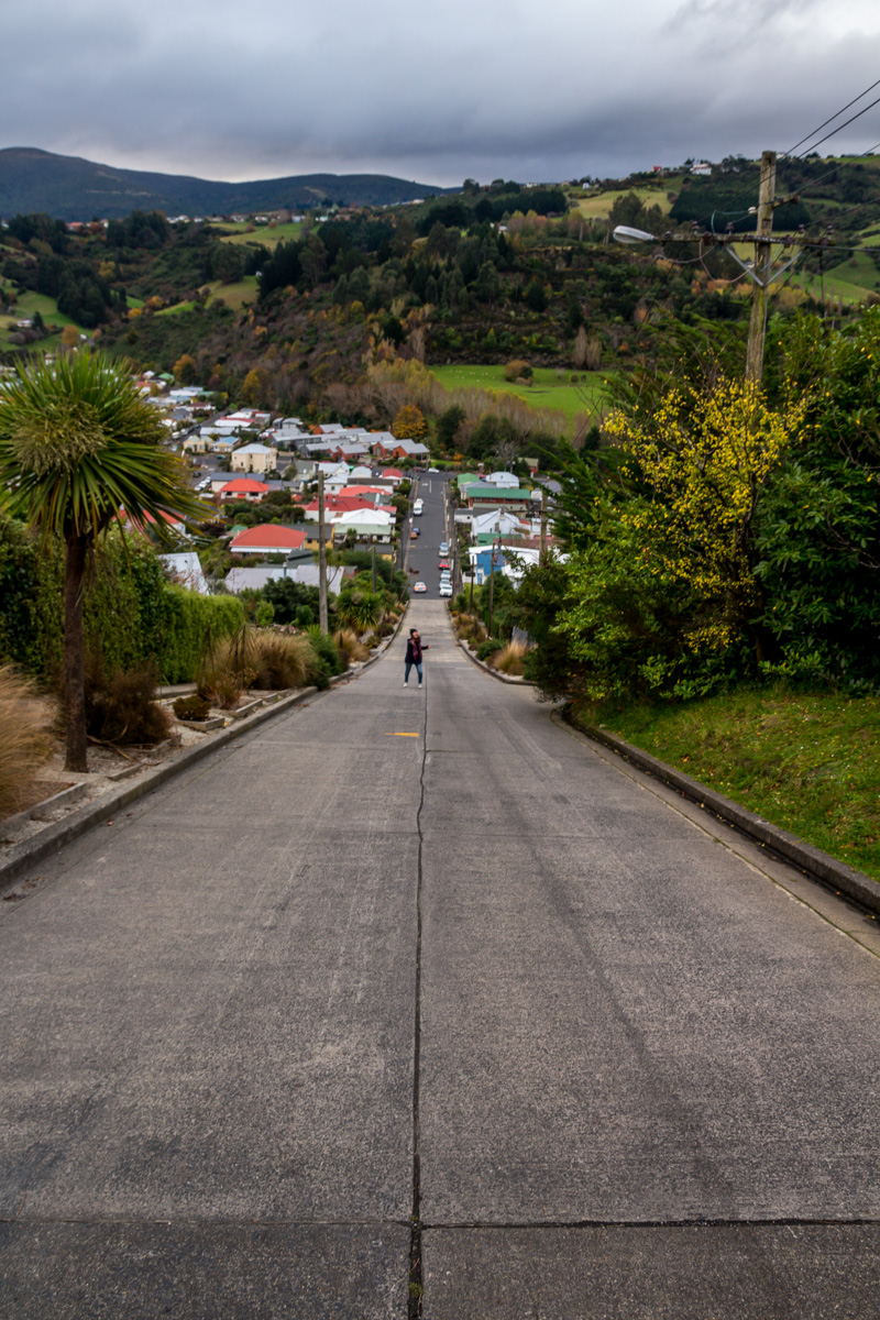 Baldwin Street, la calle más empinada del mundo, Dunedin