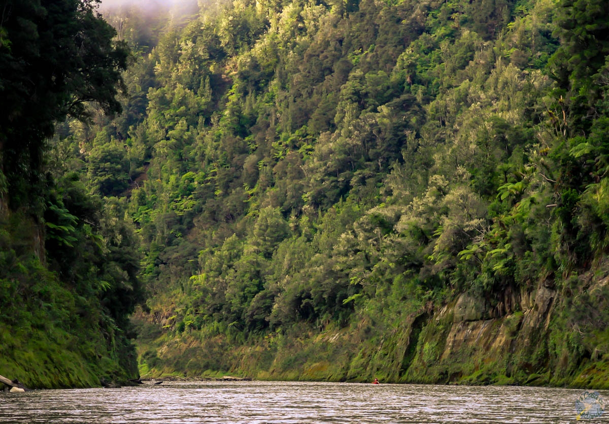 Para ver la inmensidad, fijaos en la pequeña canoa al fondo. Whanganui Journey