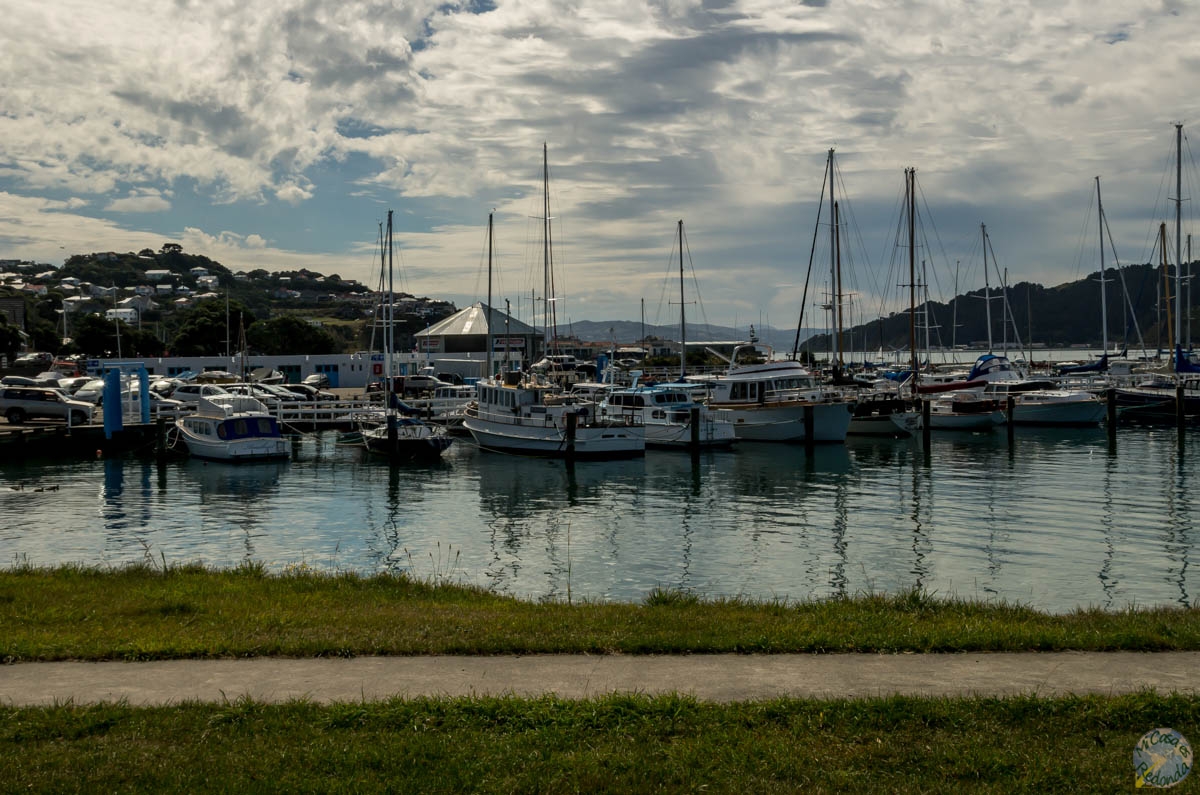 Evans Bay, Wellington