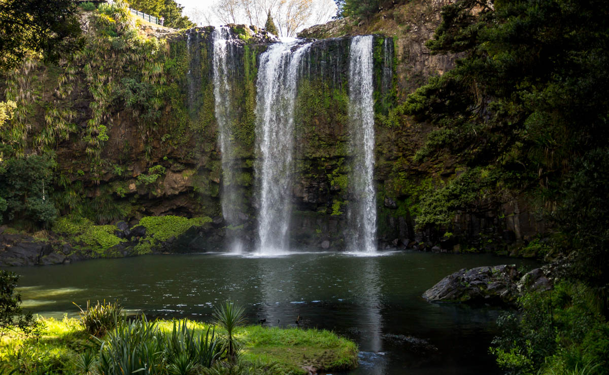 Whangarei Waterfall, Northland