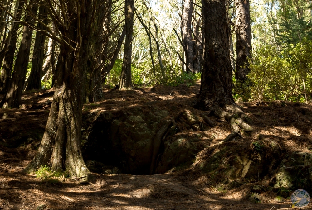 Creéis que es buen escondite contra un Nazgul? en Hobbit's Hideaway Track, Monte Victoria, Wellington