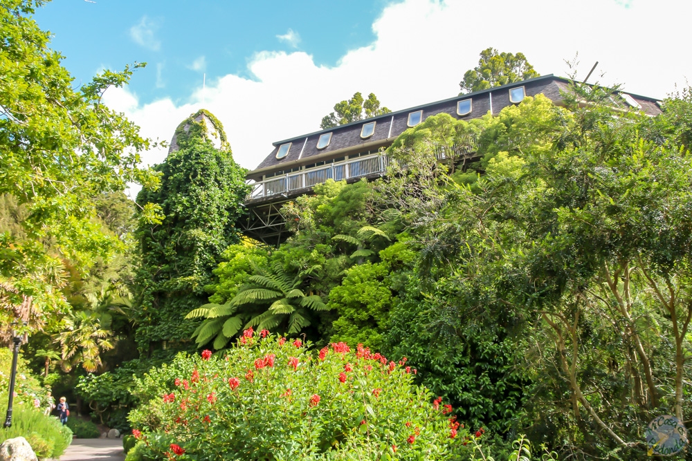 La princpal construcción del Jardin Botánico de Wellington