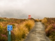 Comenzando el Tongariro Alpine Crossing