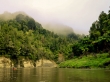 Increíble la mañana con la niebla, Whanganui Journey