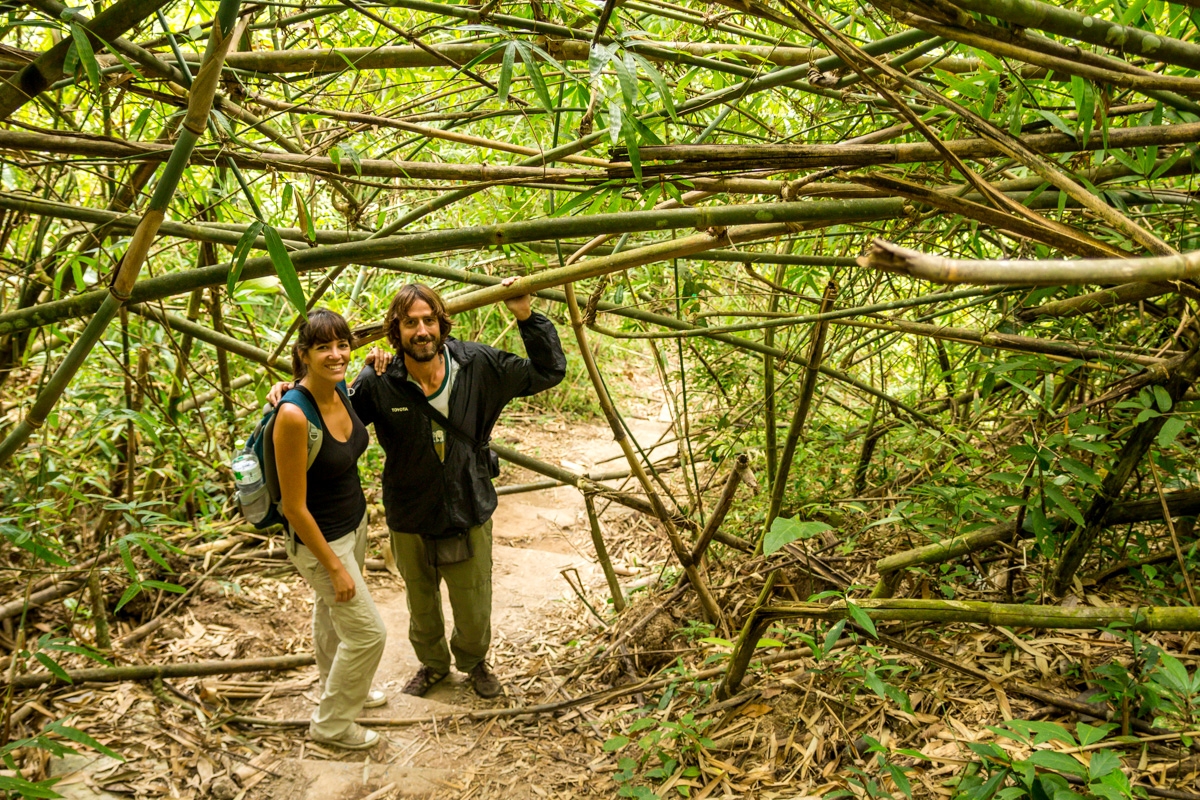 Entre los bambús! Khao Yai National Park