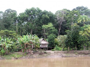 Atravesando la selva en barco