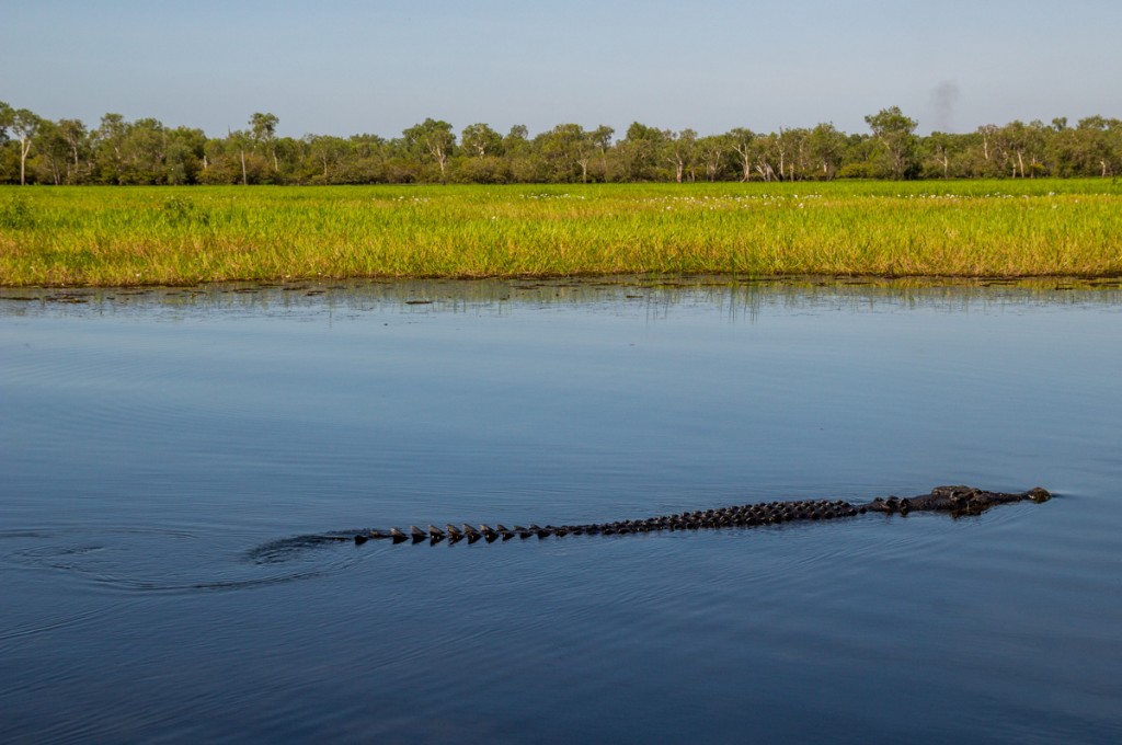 Darwin y los cocodrilos de Kakadu National Park