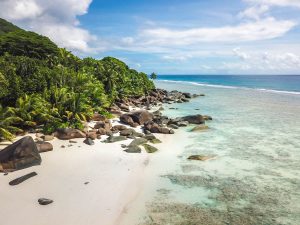 Org 1876179a3d652631 1562309594000 300x225