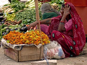 VAMONOS A LA INDIA VAMONOS A LA INDIA